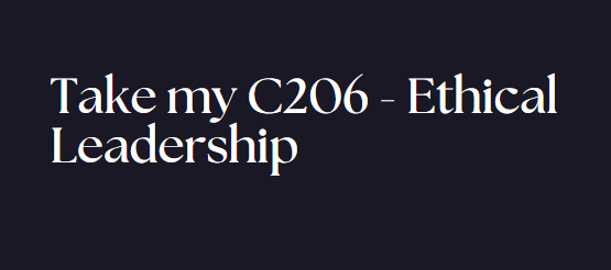 Take my C206 – Ethical Leadership